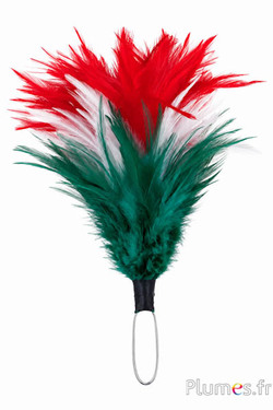 Pluim haan met ring - hoogte 20 cm - groen-wit-rood